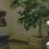 Funeral Home Markups And Upselling Hidden Camera Investigation CBC Marketplace