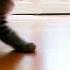 Mr Stealthy Cats 猫 ねこ Subscribe Now For Daily Dose Of Cats Share Comment Like To Buy Him Food