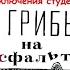 от РЕДАКТОРА журнала КРОКОДИЛ САТИРА ЮМОР ПРИКЛЮЧЕНИЯ МЕЛОДРАМА СМЕХ сквозь СЛЕЗЫ аудиокнига