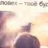 Ты бут с амноя я люблю тебя