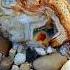 Discovery Of Agate In The Mine Diamond Jade Crystals Agate Gemstones