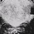 CHESTCRUSH Vdelygmia FULL ALBUM 2021