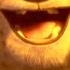 Kung Fu Panda Young Tai Lung Fandango Family