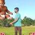 Flying Crying Babies Catching Vs Danching Gorilla Cute Bhabhi Parrot Good Day Funny Video