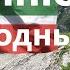 Чечня Тур выходного дня 9 12 июня 2023