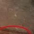 WOMAN FOUND DEAD WITH THROAT SLIT AT HOME IN KEIKHU MUSLIM MANING LEIKAI 22 JUNE 2025