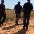 Kalahari Lion Hunt