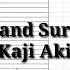 CAD Tools Function For Plot Text At A Poli Line