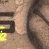 Reece Taylor Sugar Plumbin Electronic Pop NCS Copyright Free Music