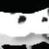 Polish Cow But In G Major