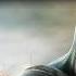 LITERAL Assassin S Creed Revelations Trailer