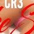 CR3 Like Sosa Official Video