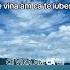 Ce Vina Am Ca Te Iubesc Deyu Music Deyumusic Dj