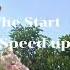 From The Start Speed Up Laufey
