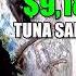 9 184 Tuna At 28 Lb Captain Reed Nails It With One Shot
