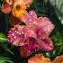 Positif Matt Houston Slowed