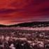Desert Sky Scarlet By Ocean Calling