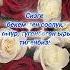 туулган күнгө куттуктоо