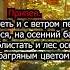 Разговор листьев Алла Евтодьева
