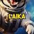 The First Ever Space Dog Laika And The Untold Story