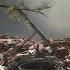 Gladstone Home Explosion Leaves One Dead Cause Still Unknown