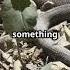 How Do Snakes Hear Without Ears Shortsvideo Shorts Animals