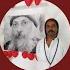Astro Saxena Is Live