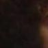 Leo Sayer Let It Be