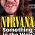 Nirvana Something In The Way Guitar