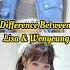 Difference Between Lisa And Wonyoung Shorts Fypシ Viral Blackpink Ive Lisa Wonyoung