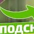 Вовремя распознала что у мужа и спасла от больницы Симптомы заболевания печени