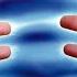 Animal Magnetism And The Life Force Energy ROBERT SEPEHR