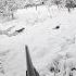 В прицеле мое путешествие по охоте на лис охота Huntingrussia Wildhunting Wildlife Foxhunting