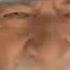 Gandalf Sax Guy 10 Hours HD MEME Basa