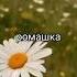 Травы для начинающих травниц травник травница