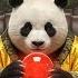 新年大揭秘 2025年中国经济命运的五大关键词