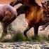 Horses Лошади Classical Music Классическая музыка