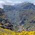Madeira Unchained Volcanic Stairways Pirate Paths Liquid History