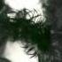 Dead Boys Calling On You