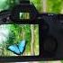 Tour Bagan Tour Butterfly Ghuraghuri Posonder Bagan Aa Let S Go