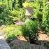 Planting Zinnia Seeds Sun Loving Perennials Cutting Back Salvia Garden Answer