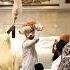 Most Viral Mere Ram Rai Waheguru Status Shorts Ytshorts Waheguru Status Gurbani Viralvideo