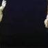 How To Dance Through Time The Elegance Of Baroque A Preview