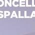 Violoncello Da Spalla Comparison Two Instruments 2005 And 2016 By Dmitry Badiarov