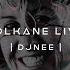DJNEE Son Libre Festival 2024