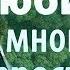 Скорби от бесов не избежишь Кто много любит тому многое и простится Михаил Питкевич