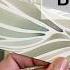 Experimental Series Creative Mutation Bookmarks Sleeves Easy WATERCOLOR 278 Part 3