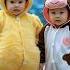 CUTE BABY KOSTUM AYAM VS SAPI Cute Baby Cutebaby Bayilucu Ayam Sapi