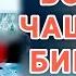 Зарифи Куйбеши Меша Дар Боги Ду Чашмонат Бишинум 2022 New