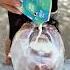 The Kid Who Drank 100 Sodas For 100 000 What Happened Next Is Terrifying